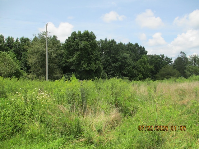 95 Fescue Ln, Lafayette, TN 37083 - photo 44