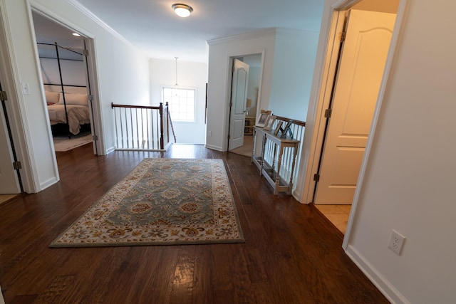 12875 Lily Pond Ln, Knoxville, TN 37922 - photo 37