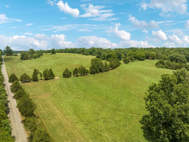 7 Double Branch Rd, Columbia, TN 38401 - photo 5