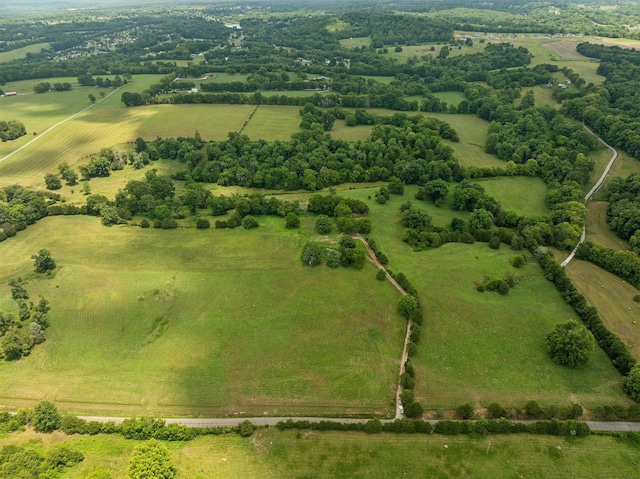 7 Double Branch Rd, Columbia, TN 38401 - photo 2