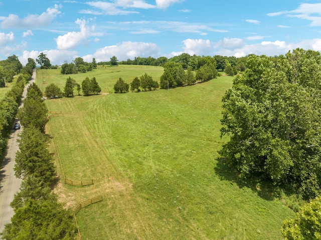 7 Double Branch Rd, Columbia, TN 38401 - photo 6