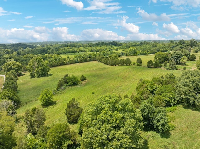 7 Double Branch Rd, Columbia, TN 38401 - photo 7