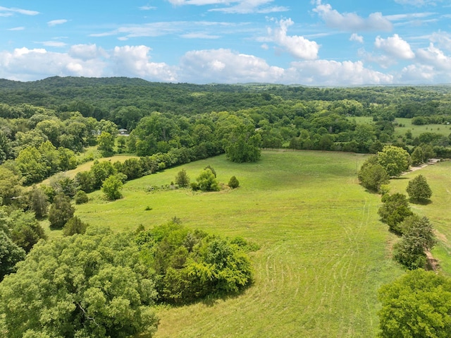 7 Double Branch Rd, Columbia, TN 38401 - photo 8