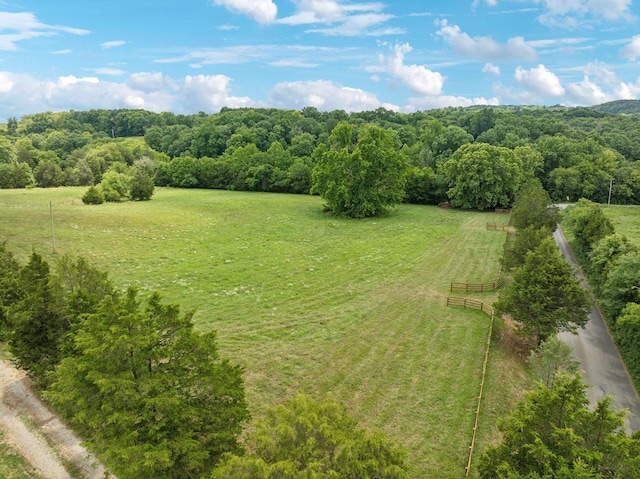 7 Double Branch Rd, Columbia, TN 38401 - photo 10