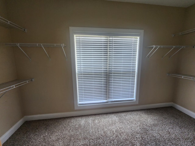 4316 Singleton Dr, Murfreesboro, TN 37127 - photo 21