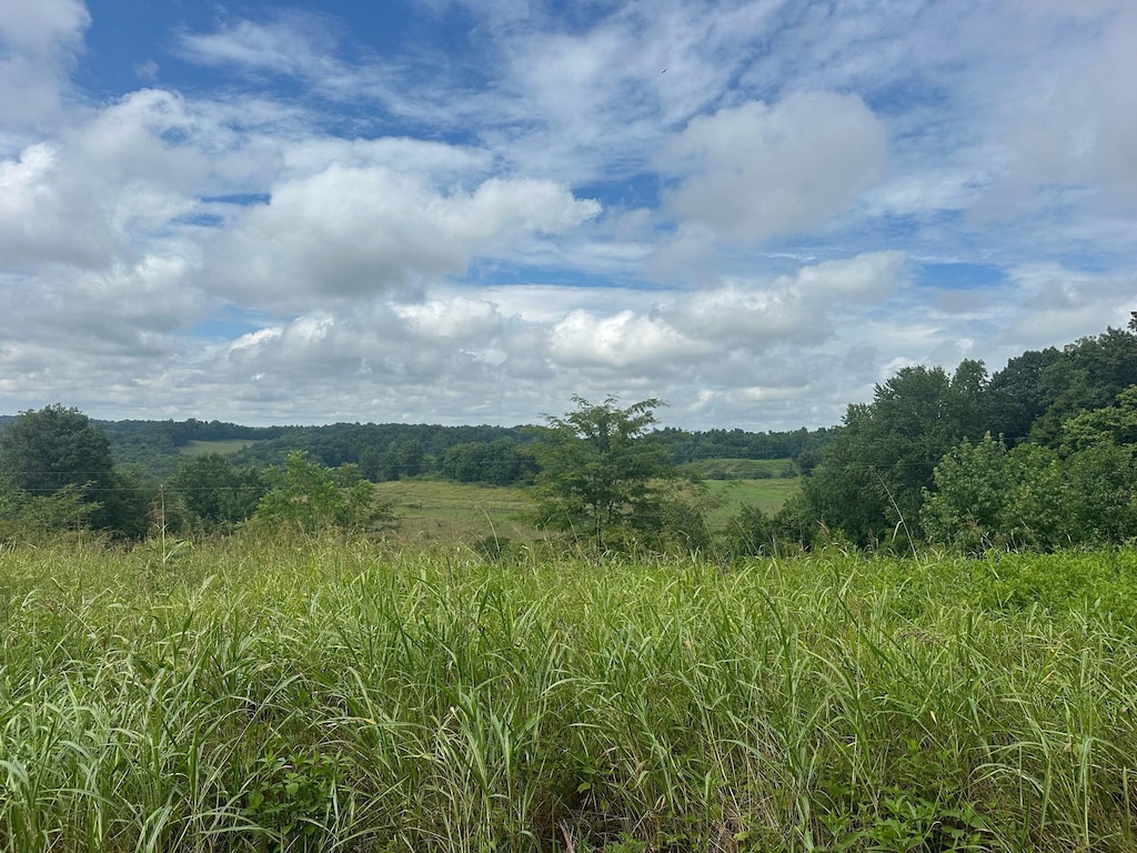 5A Young Hollow Rd, Belvidere, TN 37306 - photo 2