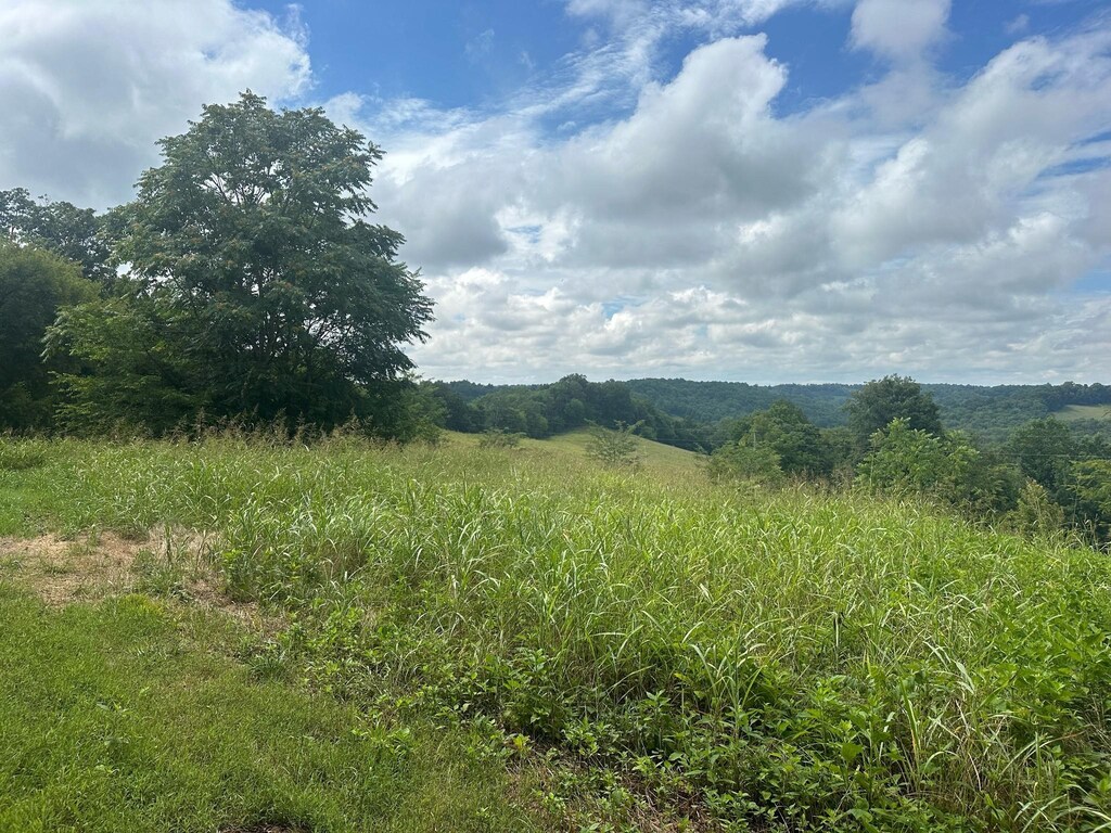 5A Young Hollow Rd, Belvidere, TN 37306 - photo 3