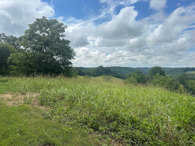 5A Young Hollow Rd, Belvidere, TN 37306 - photo 3