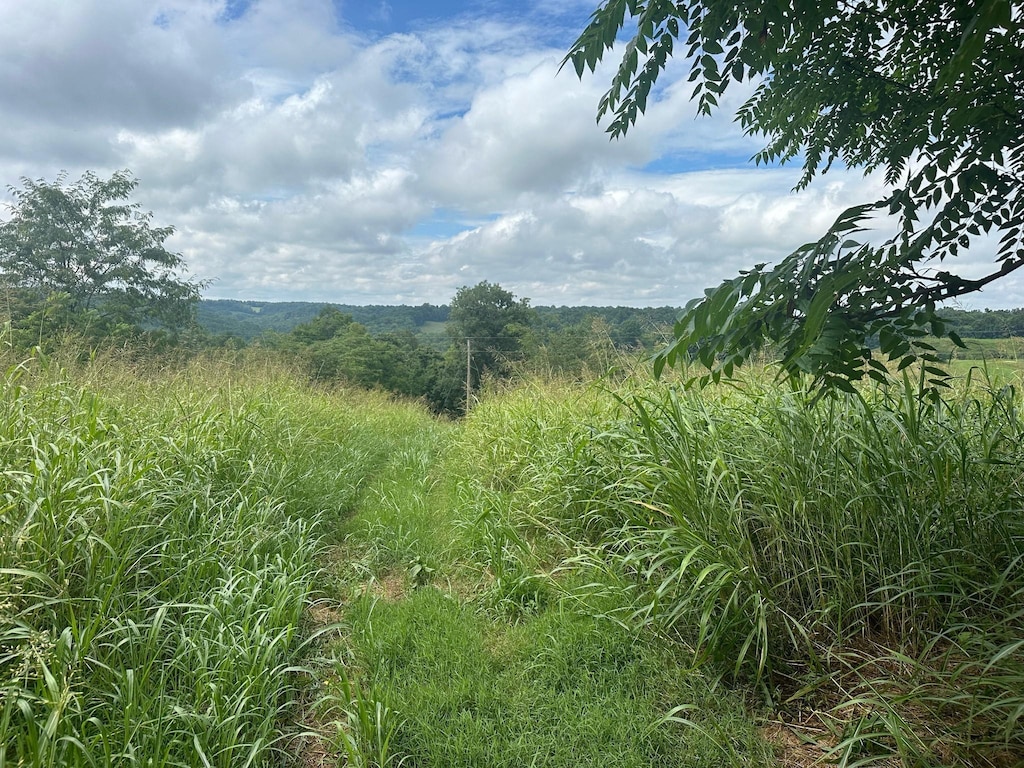 5A Young Hollow Rd, Belvidere, TN 37306 - photo 1