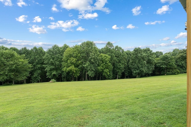 3037 Tunnel Rd, Westmoreland, TN 37186 - photo 30