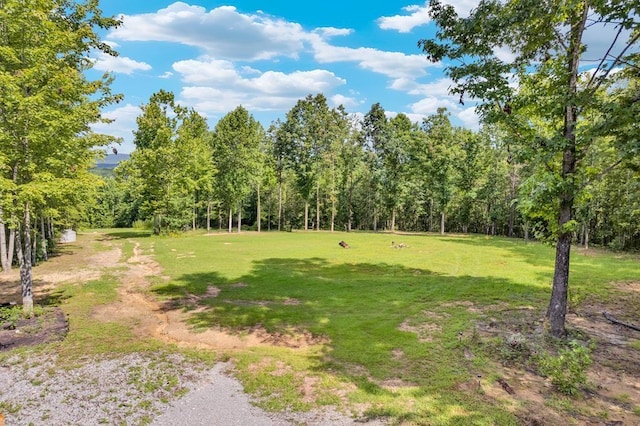 1280 Soak Creek Ln, Grandview, TN 37337 - photo 1