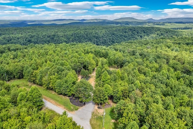 1280 Soak Creek Ln, Grandview, TN 37337 - photo 13