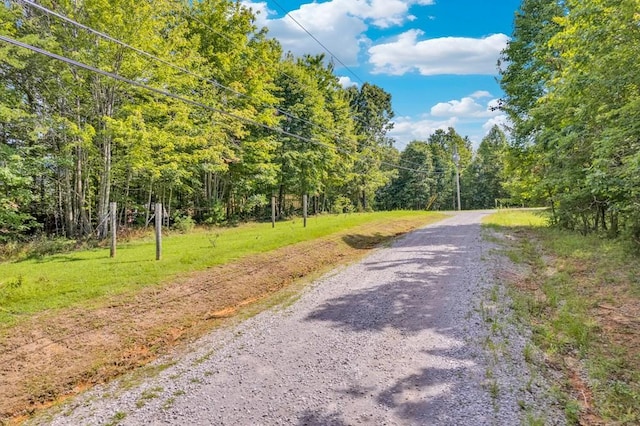 1280 Soak Creek Ln, Grandview, TN 37337 - photo 3