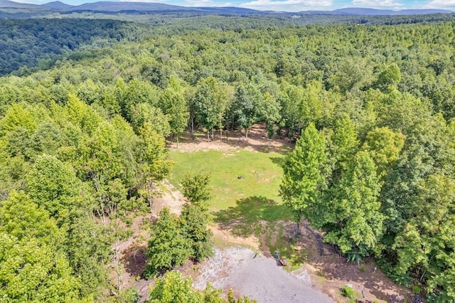1280 Soak Creek Ln, Grandview, TN 37337 - photo 11