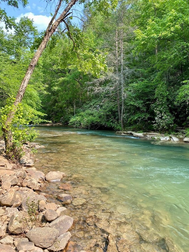 1280 Soak Creek Ln, Grandview, TN 37337 - photo 28