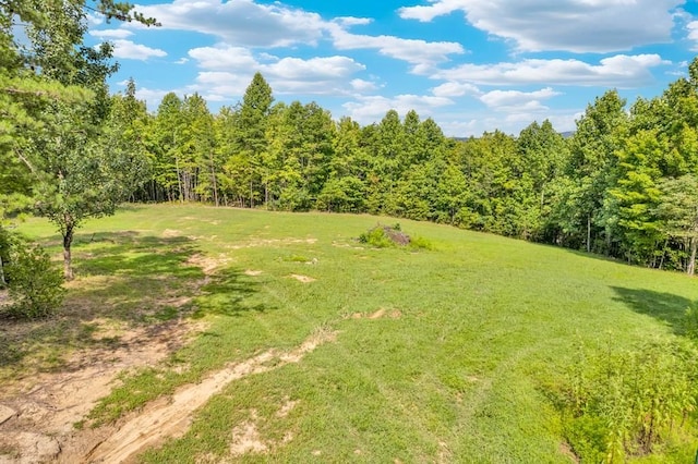 1280 Soak Creek Ln, Grandview, TN 37337 - photo 7