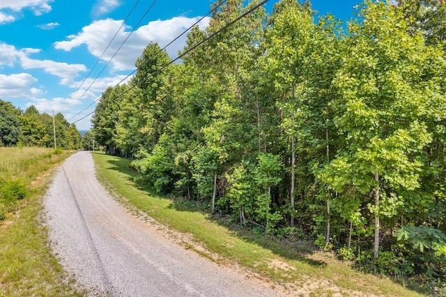1280 Soak Creek Ln, Grandview, TN 37337 - photo 4
