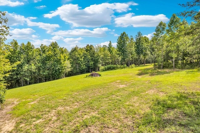 1280 Soak Creek Ln, Grandview, TN 37337 - photo 8