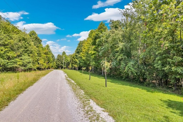 1280 Soak Creek Ln, Grandview, TN 37337 - photo 2