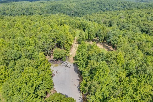 1280 Soak Creek Ln, Grandview, TN 37337 - photo 14