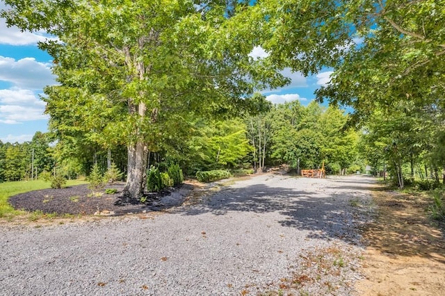 1280 Soak Creek Ln, Grandview, TN 37337 - photo 5