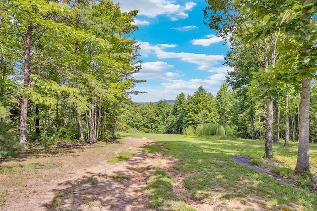 1280 Soak Creek Ln, Grandview, TN 37337 - photo 6