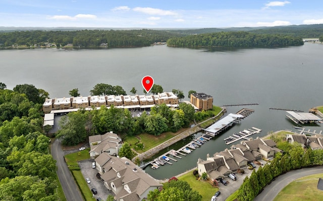 4336 Lakeshore Ln, Chattanooga, TN 37415 - photo 6