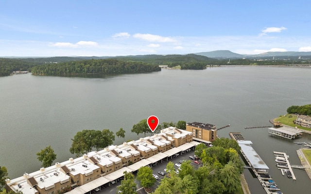 4336 Lakeshore Ln, Chattanooga, TN 37415 - photo 26