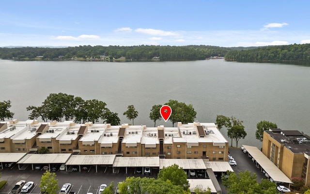 4336 Lakeshore Ln, Chattanooga, TN 37415 - photo 27