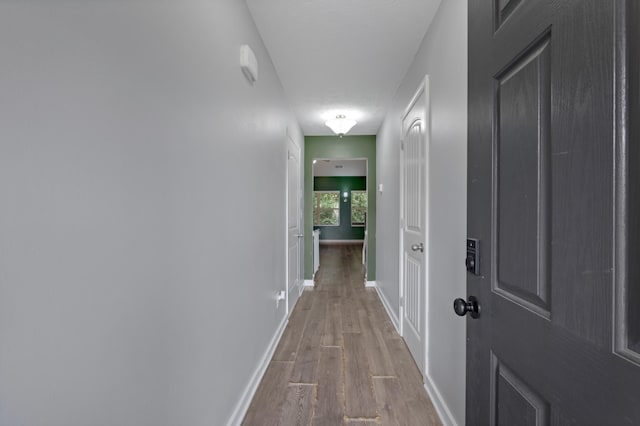 313 Longhorn Dr, Smyrna, TN 37167 - photo 3