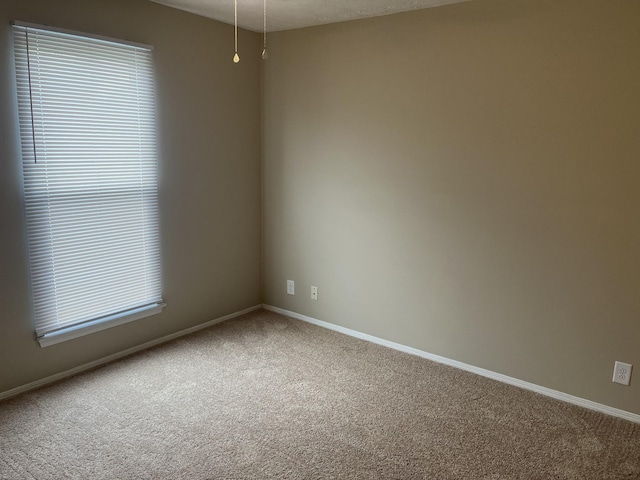 806 Rachels Vw, Hermitage, TN 37076 - photo 29