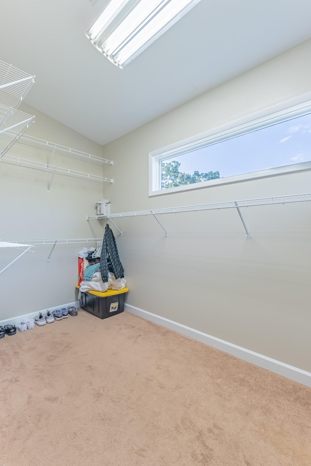 6655 Craddock Ln, Lascassas, TN 37085 - photo 34