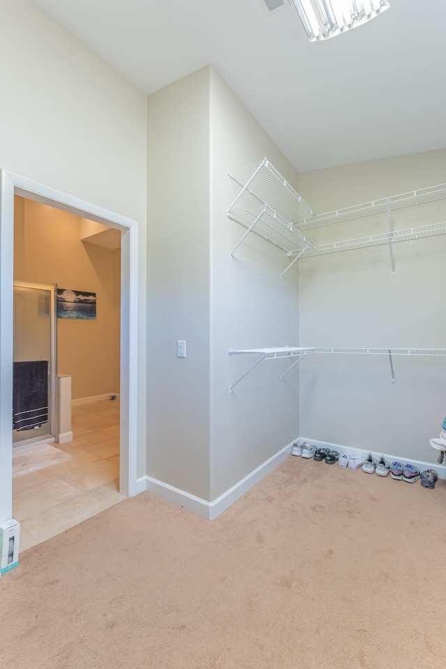 6655 Craddock Ln, Lascassas, TN 37085 - photo 56