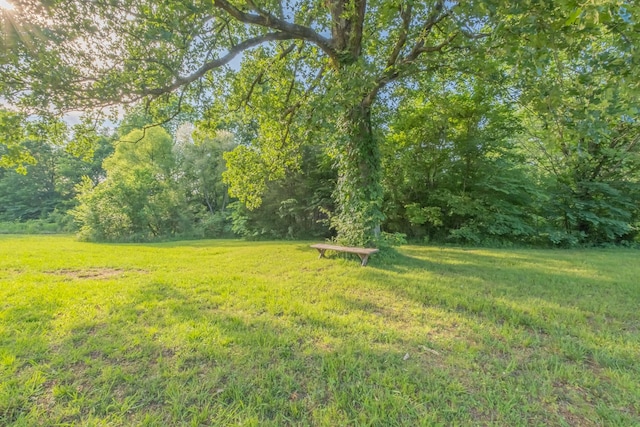 6655 Craddock Ln, Lascassas, TN 37085 - photo 16