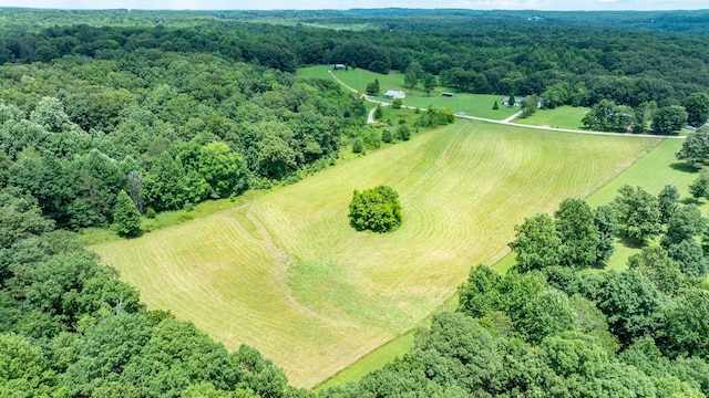 0 Hodge Rd, Mount Pleasant, TN 38474 - photo 13