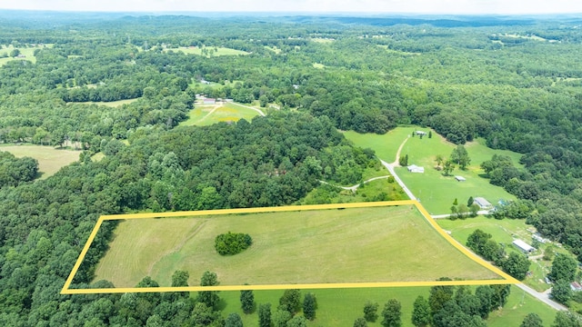 0 Hodge Rd, Mount Pleasant, TN 38474 - photo 23