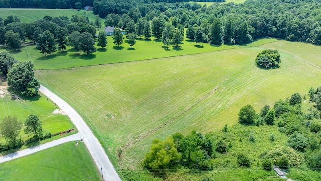 0 Hodge Rd, Mount Pleasant, TN 38474 - photo 17