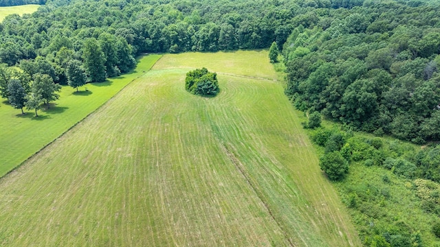 0 Hodge Rd, Mount Pleasant, TN 38474 - photo 16
