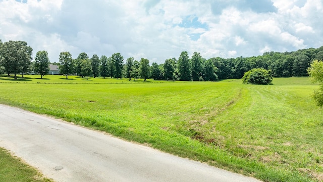 0 Hodge Rd, Mount Pleasant, TN 38474 - photo 20