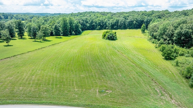 0 Hodge Rd, Mount Pleasant, TN 38474 - photo 19