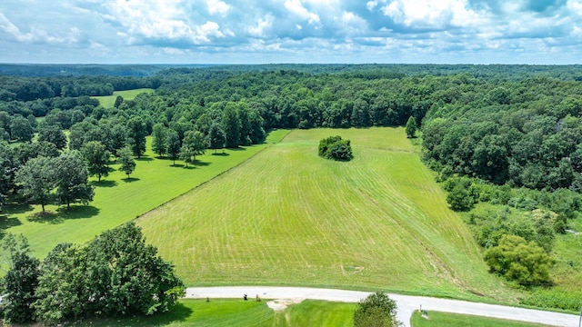 0 Hodge Rd, Mount Pleasant, TN 38474 - photo 4
