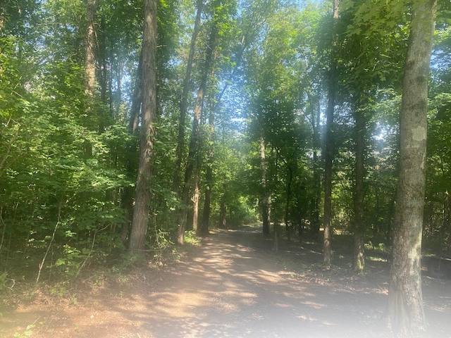 4695 Jones Rd, Christiana, TN 37037 - photo 17