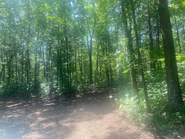 4695 Jones Rd, Christiana, TN 37037 - photo 18