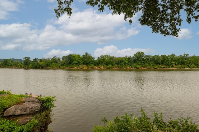 6556 Upton Ln, Nashville, TN 37209 - photo 46