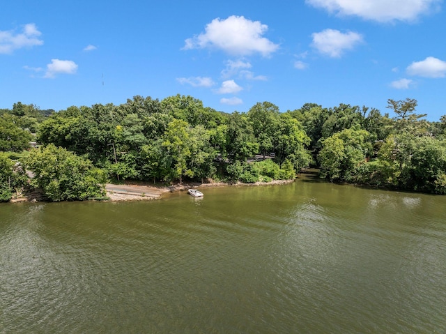 6556 Upton Ln, Nashville, TN 37209 - photo 60