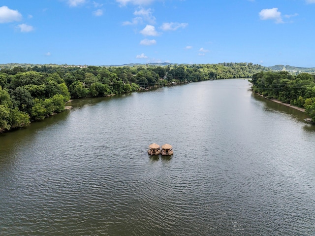 6556 Upton Ln, Nashville, TN 37209 - photo 59