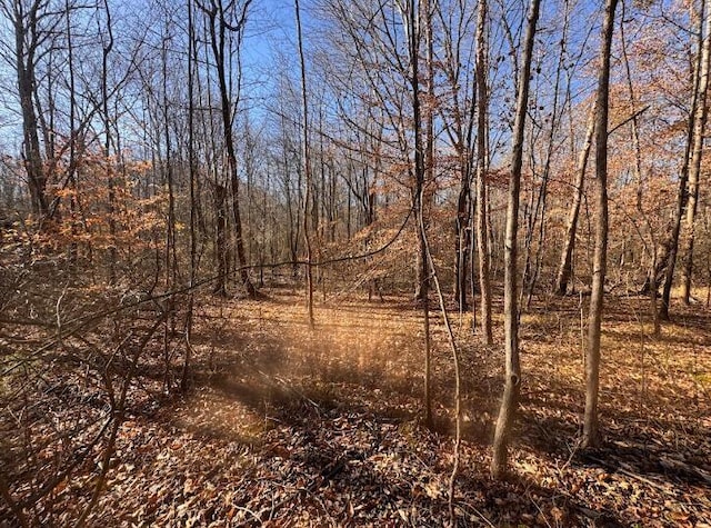 0 Sanford Rd, Henderson, TN 38340 - photo 8