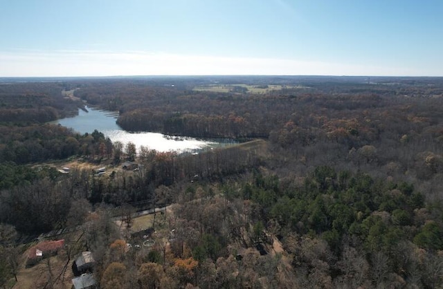 0 Sanford Rd, Henderson, TN 38340 - photo 1