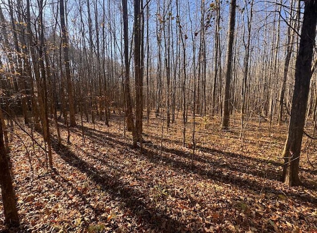 0 Sanford Rd, Henderson, TN 38340 - photo 11
