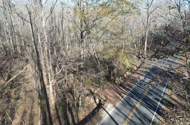 0 Sanford Rd, Henderson, TN 38340 - photo 13